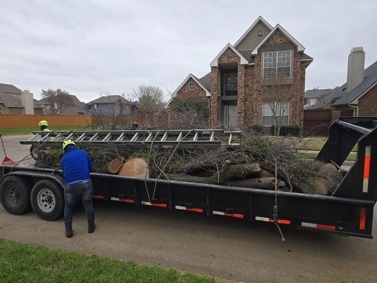 Expert Tree Removal with proper safety equipment in Eucha